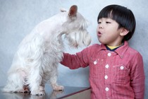 A woman talks to a dog.