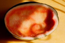 a scooped out watermelon on a yellow sunlit table