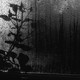 A dark, rainy window with the silhouette of a flower against it