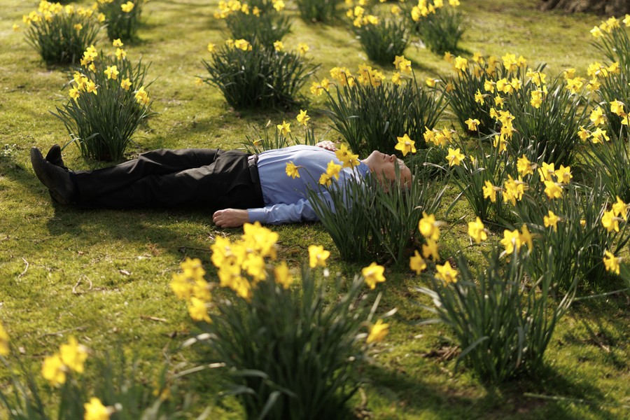 A person lies on their back among daffodils in a park.