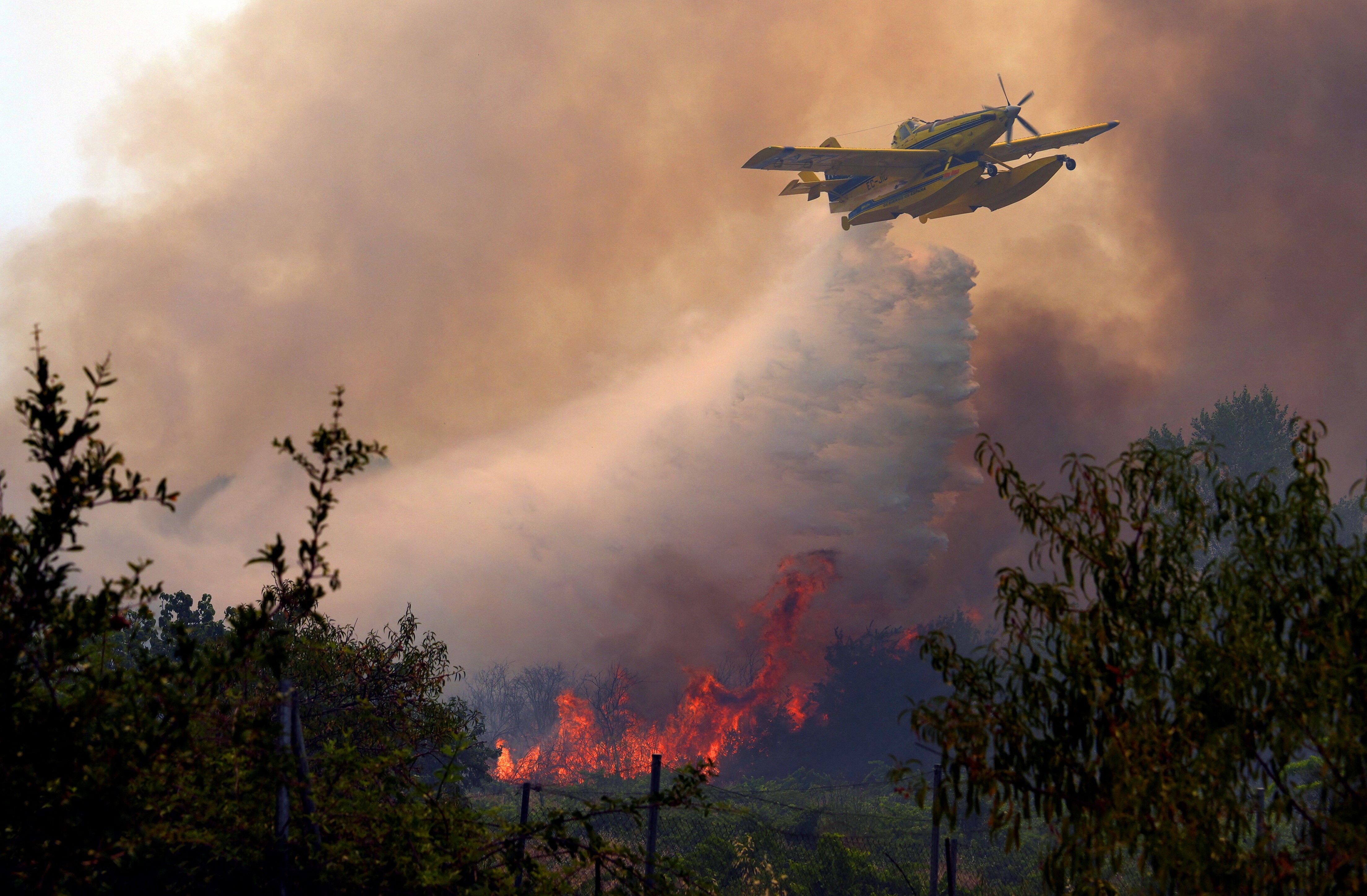 A small firefighting aircraft dumps water over a wildfire.
