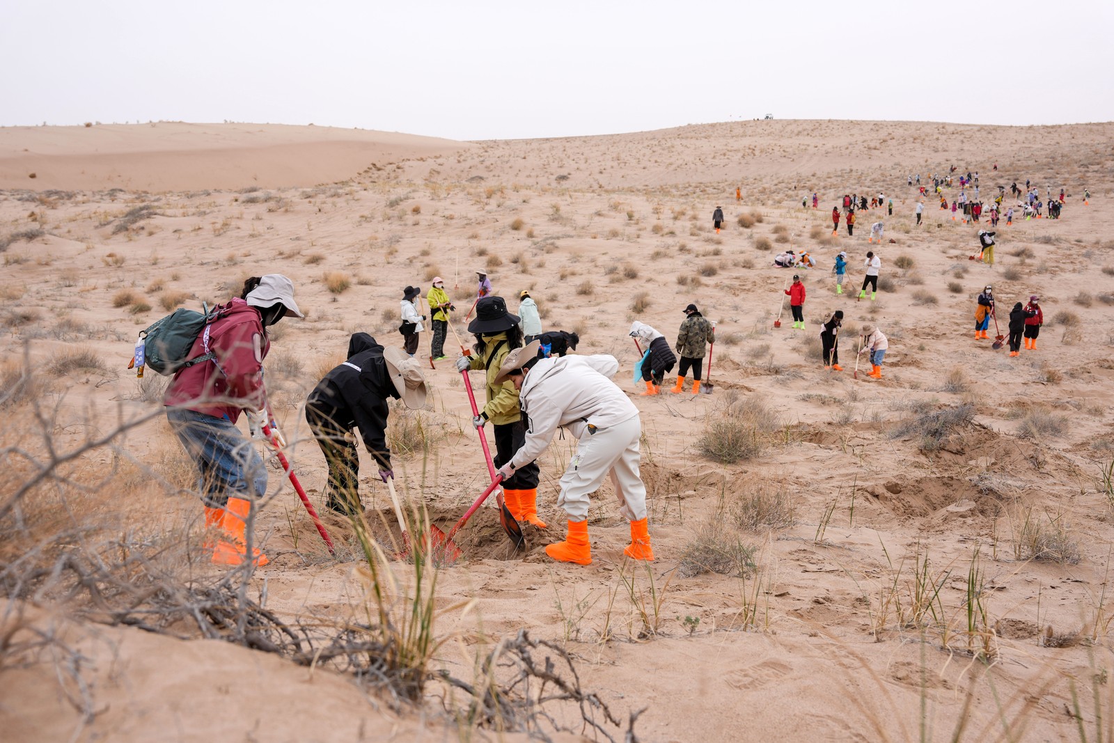 Volunteers dig pits for water storage in a desert.