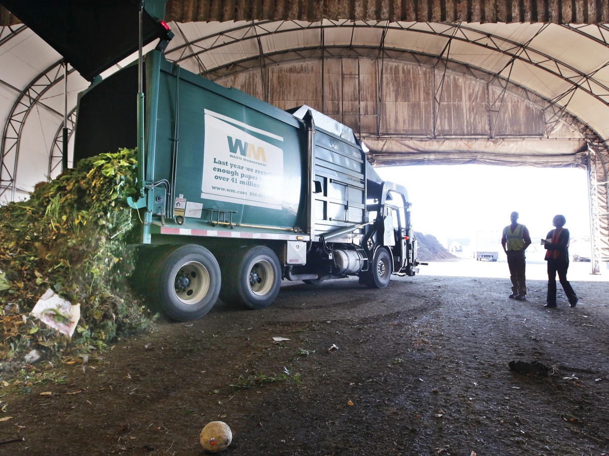 Too Good To Go Celebrates 1.5 Million Americans and 1 Year Fighting Food  Waste in the U.S.