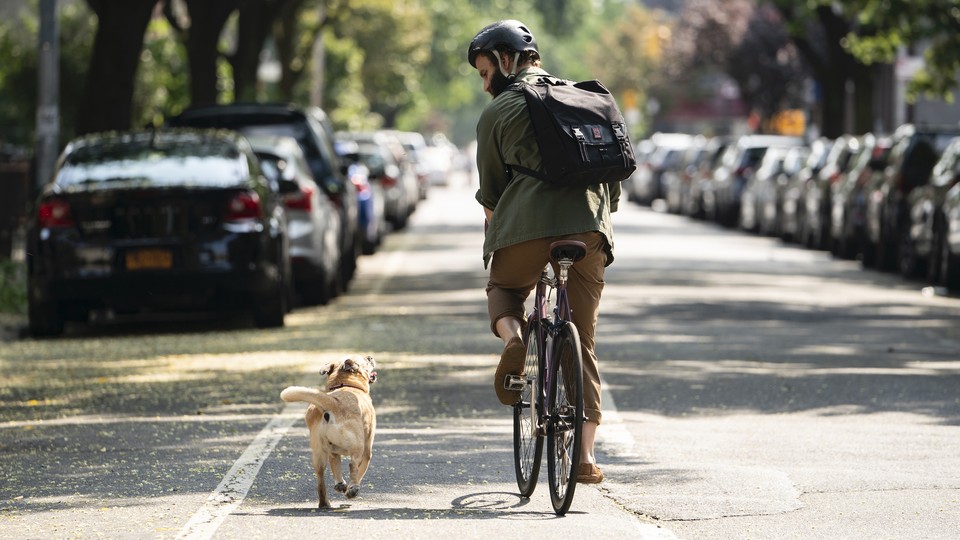 LV Atlantic Dog Backpack