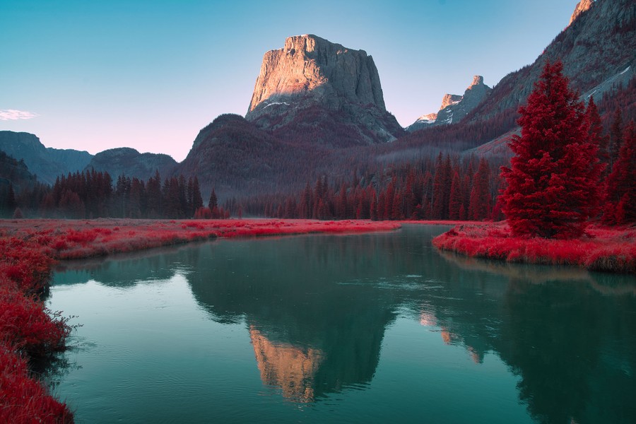 Rocky mountains stand above an alpine valley, with red-colored trees and grass.