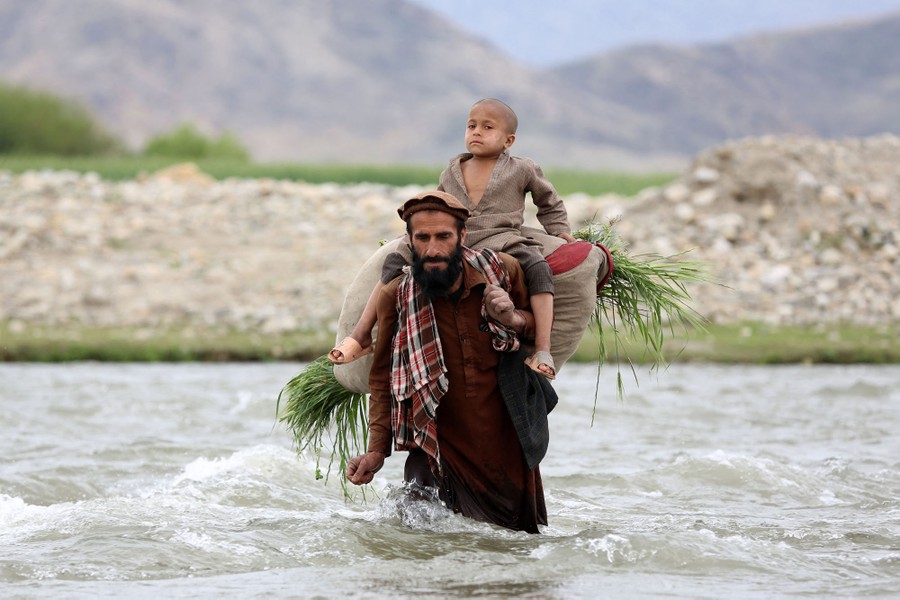 An Afghan farmer, carrying a boy and a bundle of grass, wades across a river.