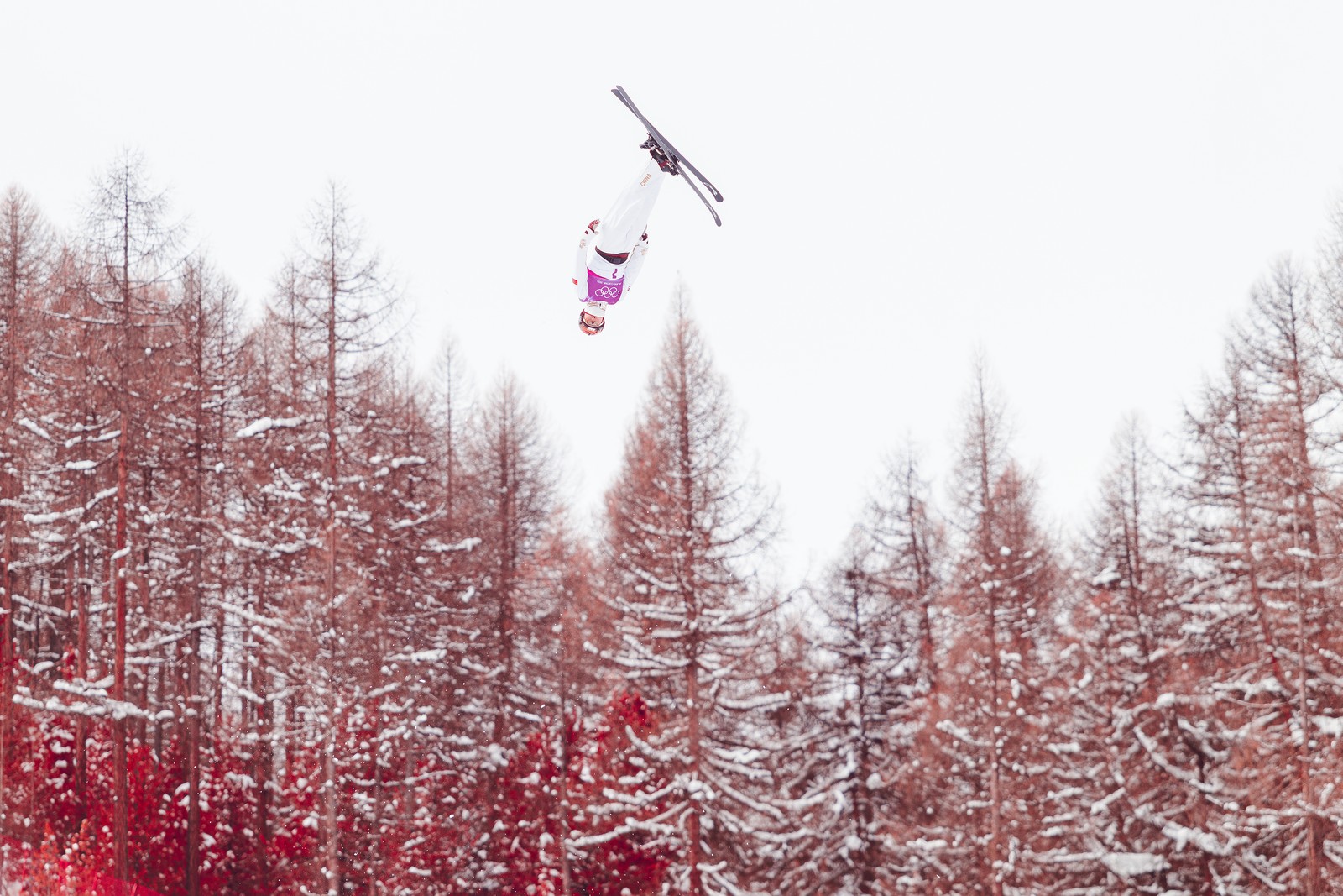 A skier performs an acrobatic jump, seen upside down above trees that appear to be colored red in an infrared image.