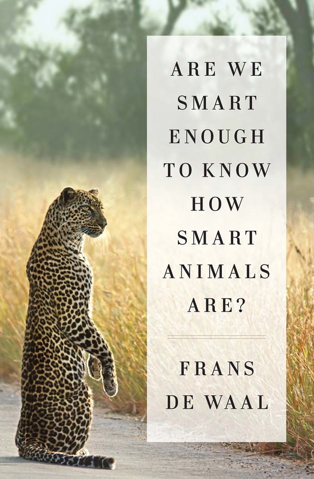 What People Can Learn From How Animals Think - The Atlantic What People Can Learn From How Animals Think - The Atlantic