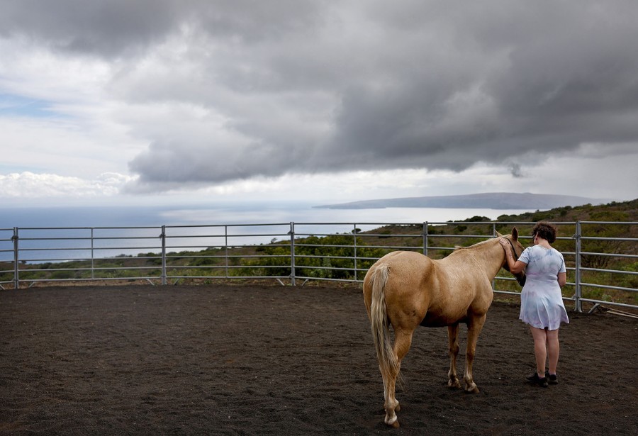 A person stands beside a horse, stroking it, in a corral with a view of the ocean.