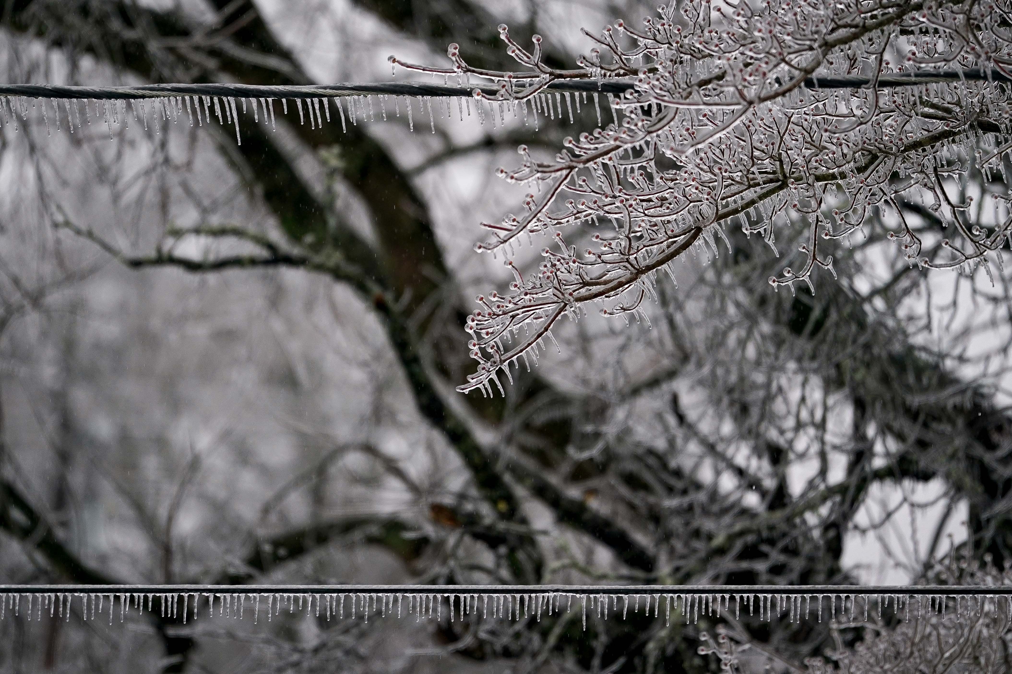 Ice hangs from power lines and tree branches.