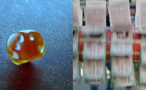 diptych: dice and lotto tickets