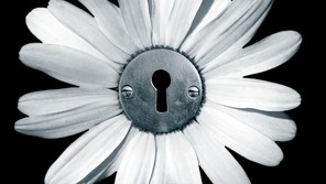 Illustration of a flower with a lock in its center