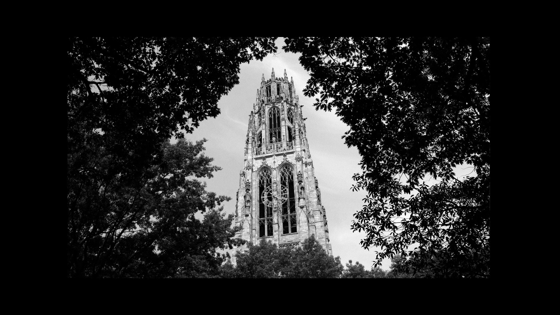 Yale University.