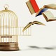 Books fly out of a birdcage