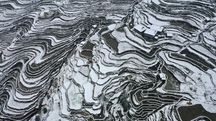 An elevated view of tightly terraced steep hillsides, covered by snow