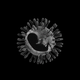 The silhouette of a fetus overlays an image of a virus