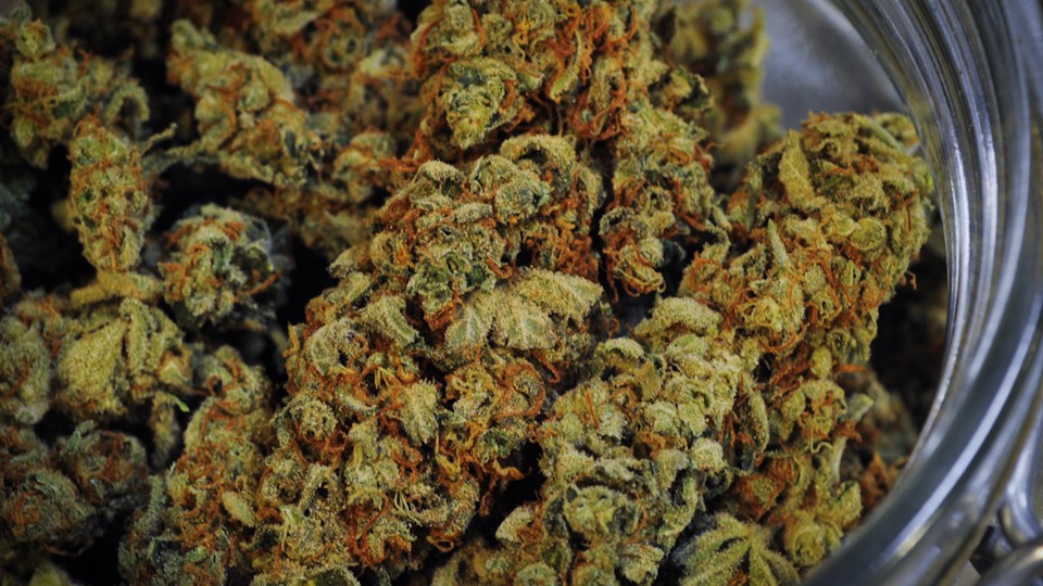 Was Marijuana Really Less Potent in the 1960s? - The Atlantic