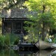 A young girl in front of a shack in a still from 'Where the Crawdads Sing'
