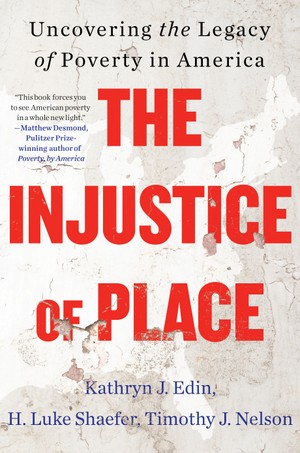 Book cover of The Injustice of Place.