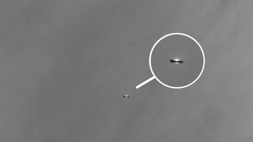 The Webb Space Telescope Sees a Solar System #39 s Beginning The Atlantic