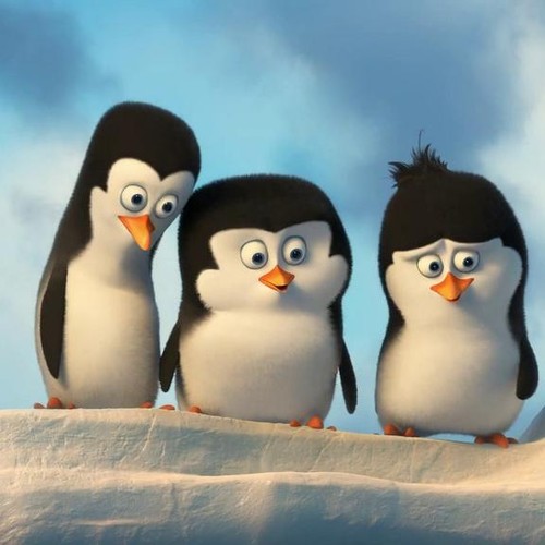 A Kids Eye View Of Penguins Of Madagascar The Atlantic
