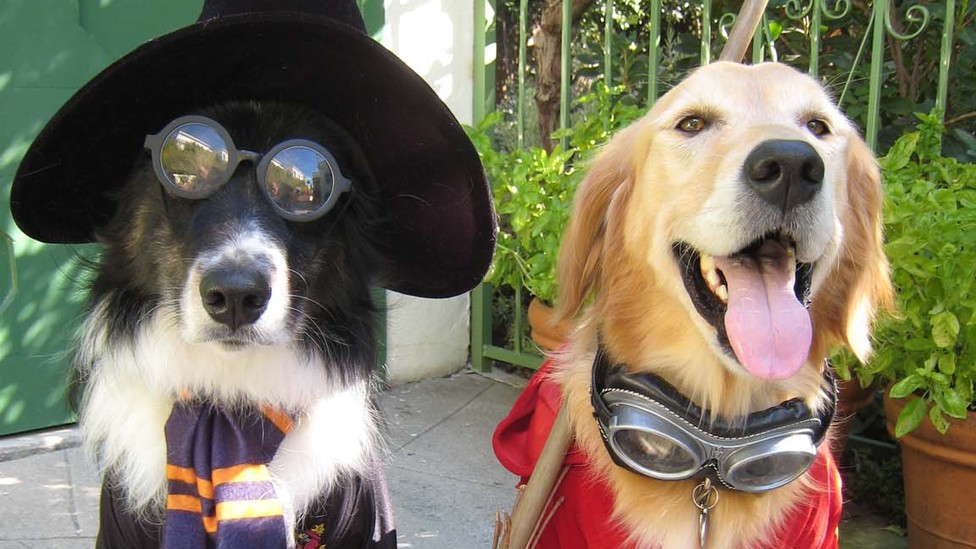 Wait, Americans Spend How Much on Halloween? The Atlantic