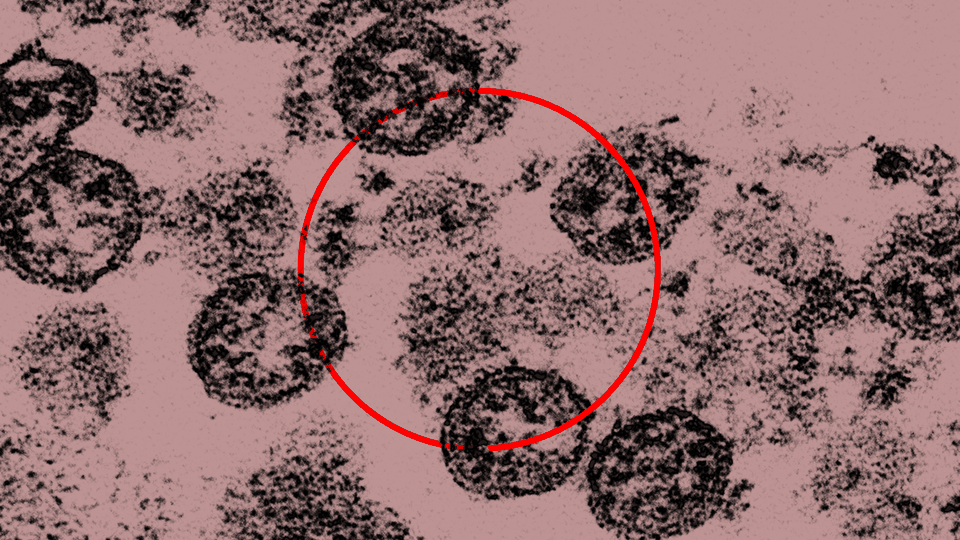 An image of a circle with viral particles.