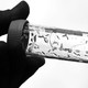 Maggots in a test tube