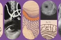 Introducing Being Human section at The Atlantic