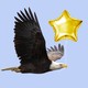 bald eagle carrying a gold star balloon