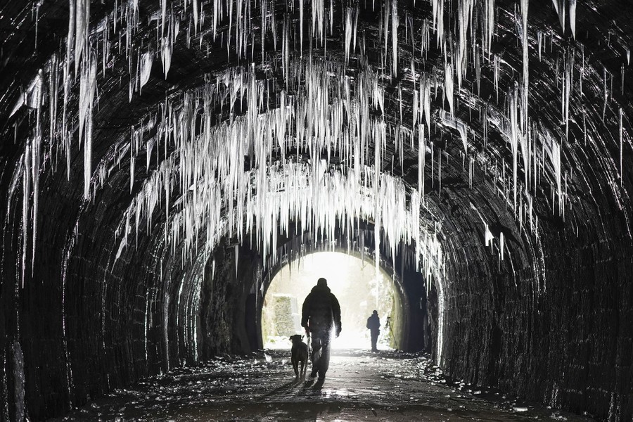 A person walks a dog through a tunnel lined with many large icicles.
