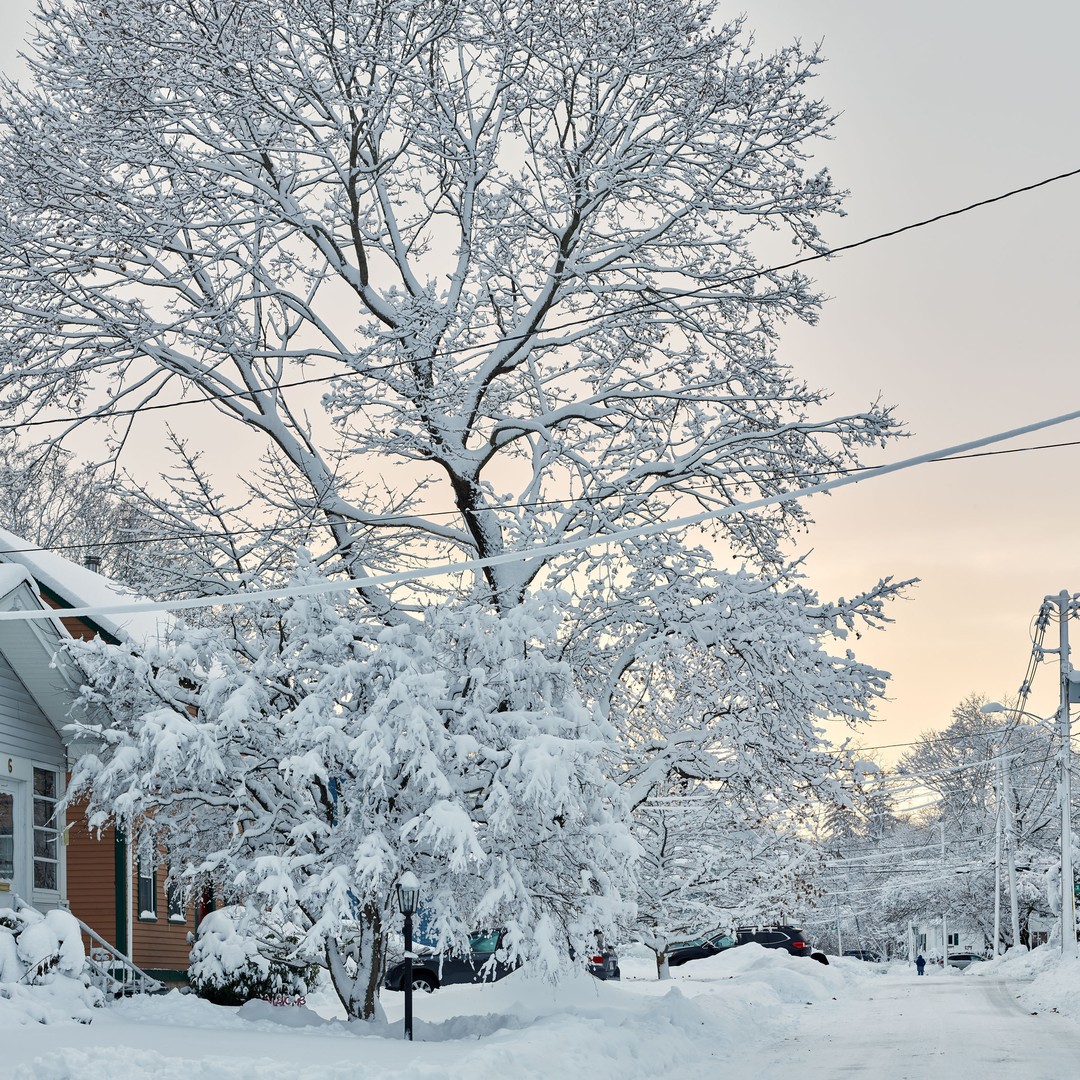 Weather Updates: Late-Winter Storm Brings Snow and Rain to the Northeast -  The New York Times