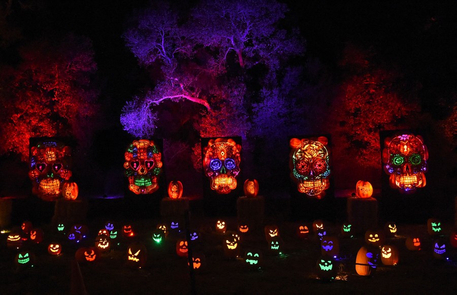 Dozens of illuminated jack-o'-lanterns are seen at night, some stacked together into larger skull shapes.
