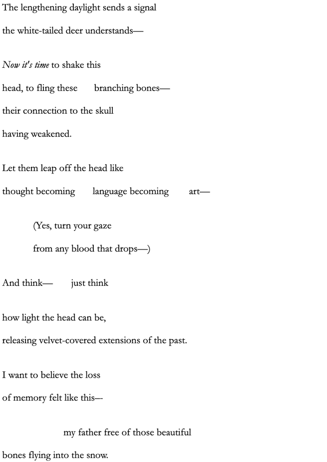 Text of a poem by Carolina Hotchandani, titled "Casting"