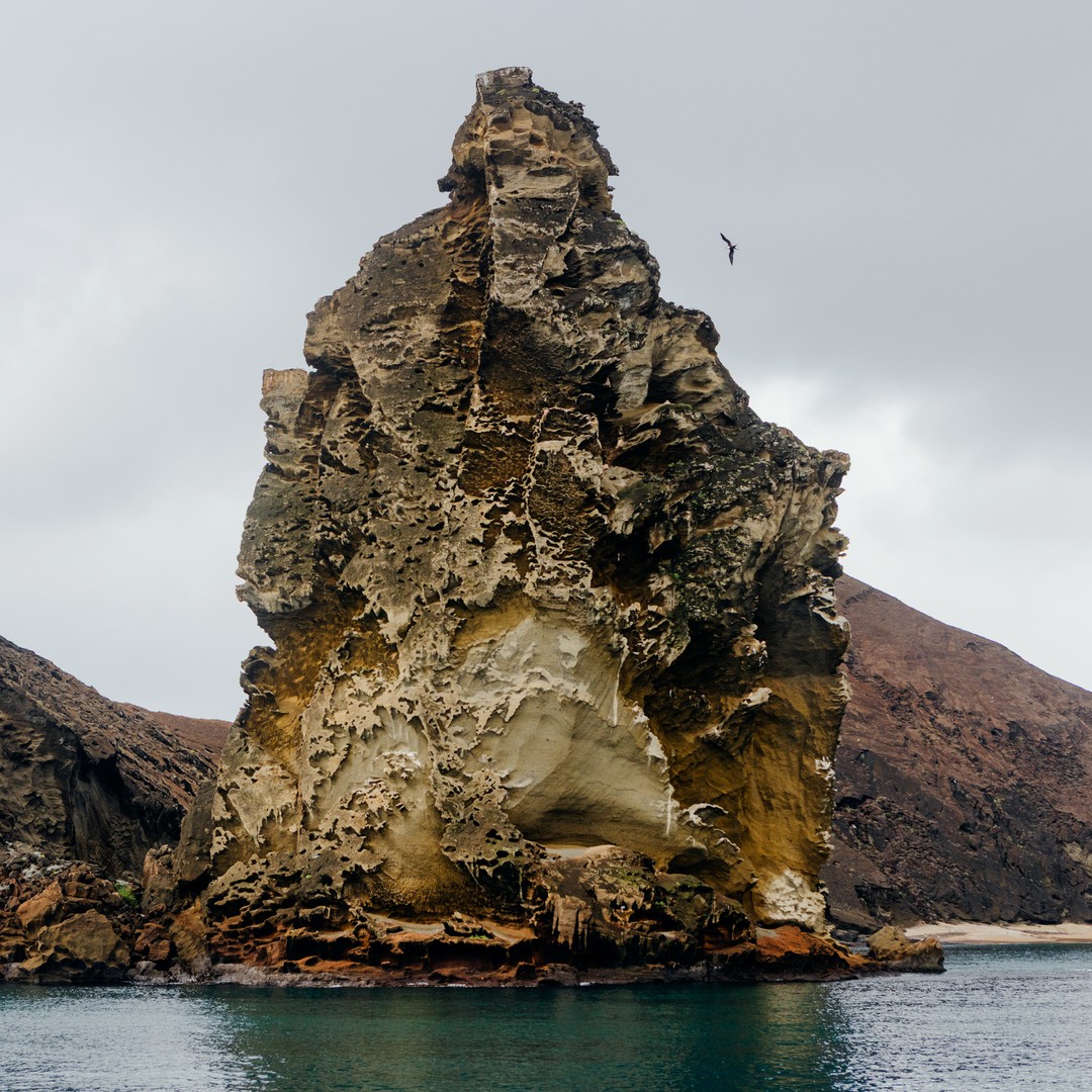 What Charles Darwin Found in the Galápagos - The Atlantic
