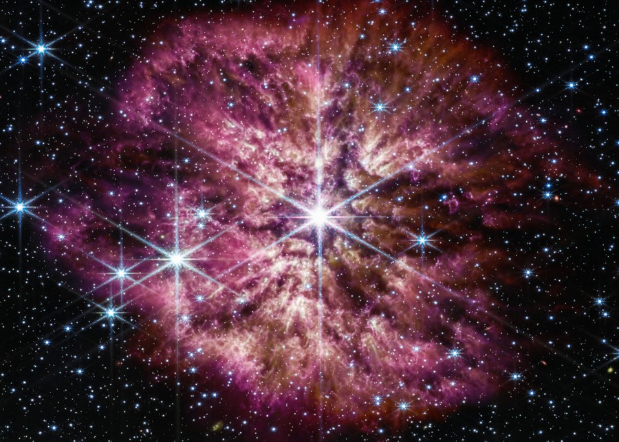 A bright star sits at the center of a giant cloud of glowing gas and dust, amid many other fainter stars.