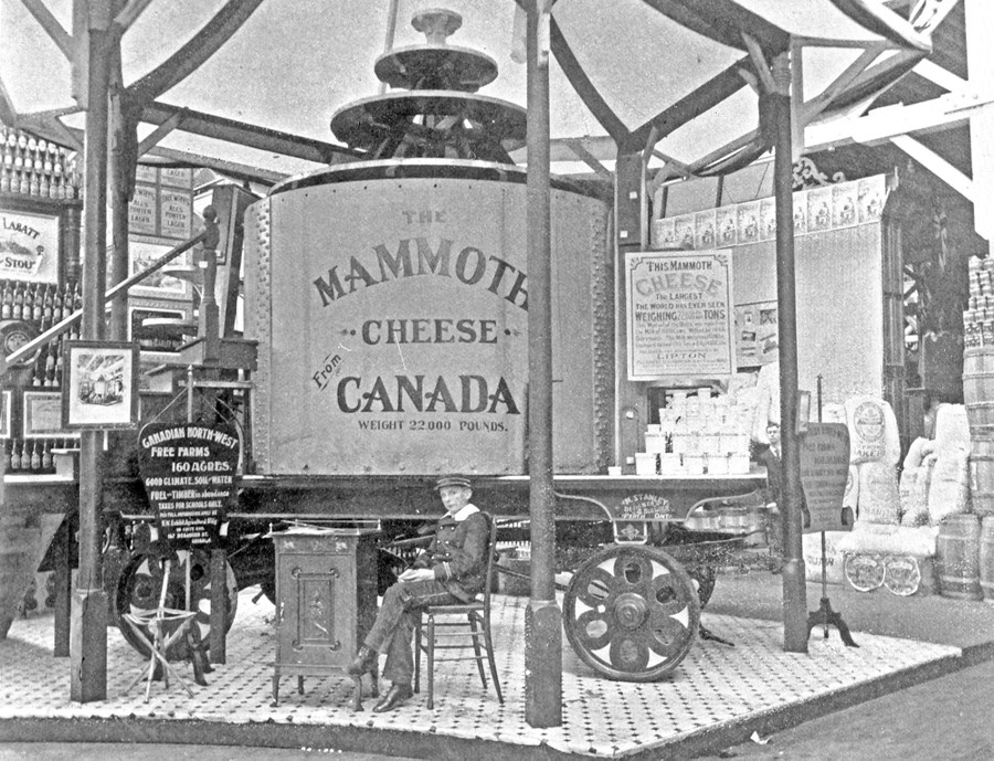 An enormous wheel of cheddar cheese on a sturdy cart in an exhibit hall