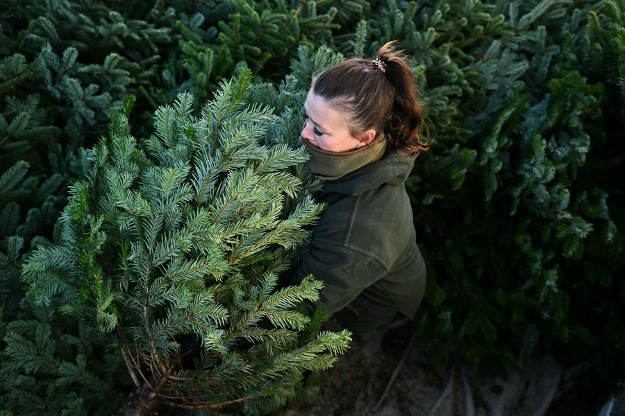 Photos Christmas Markets and Christmas Lights The Atlantic