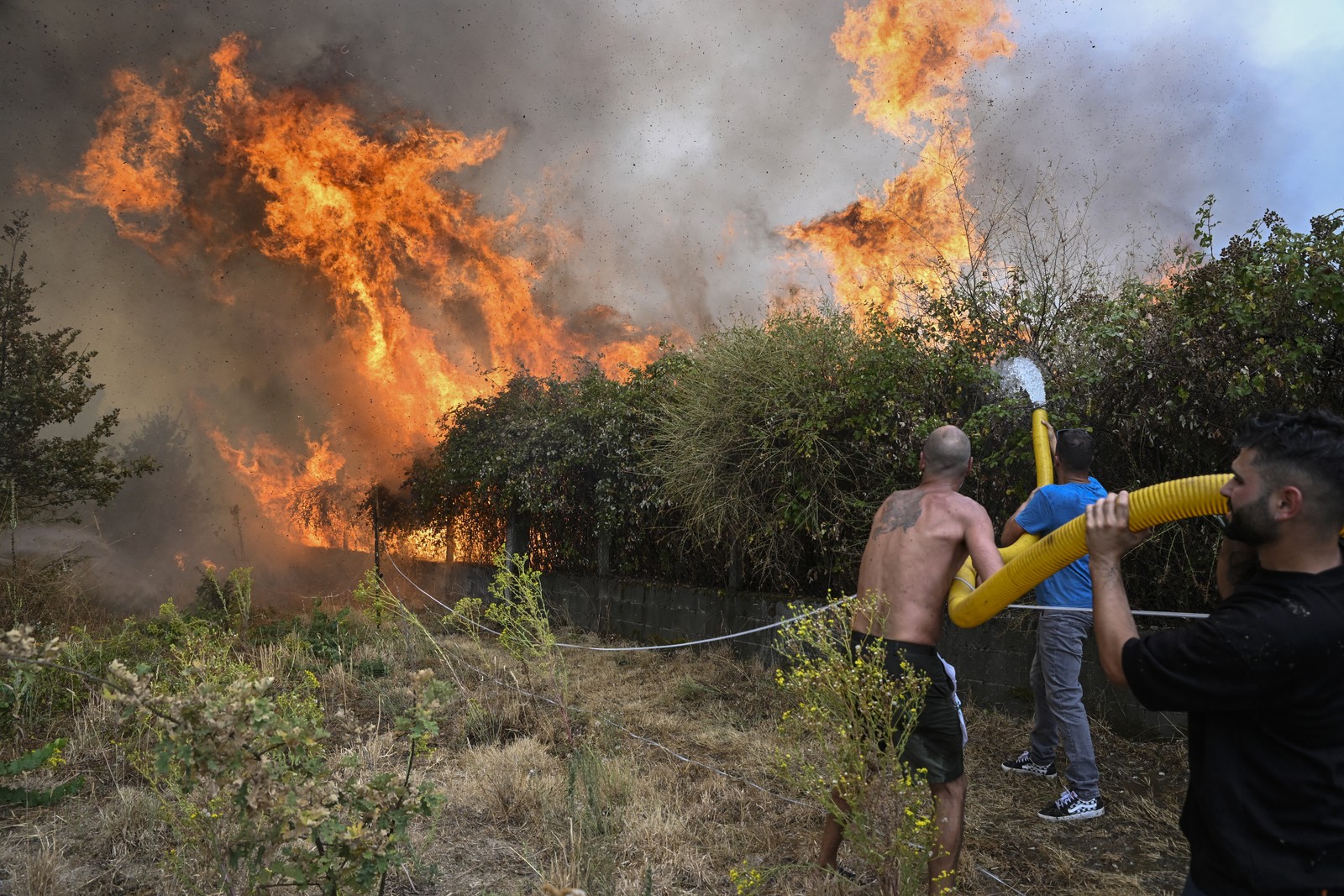 Several people use a large hose to extinguish a wildfire.