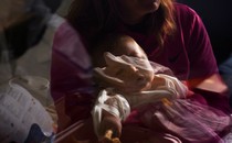 Photograph, taken through a window, of a baby in intensive care