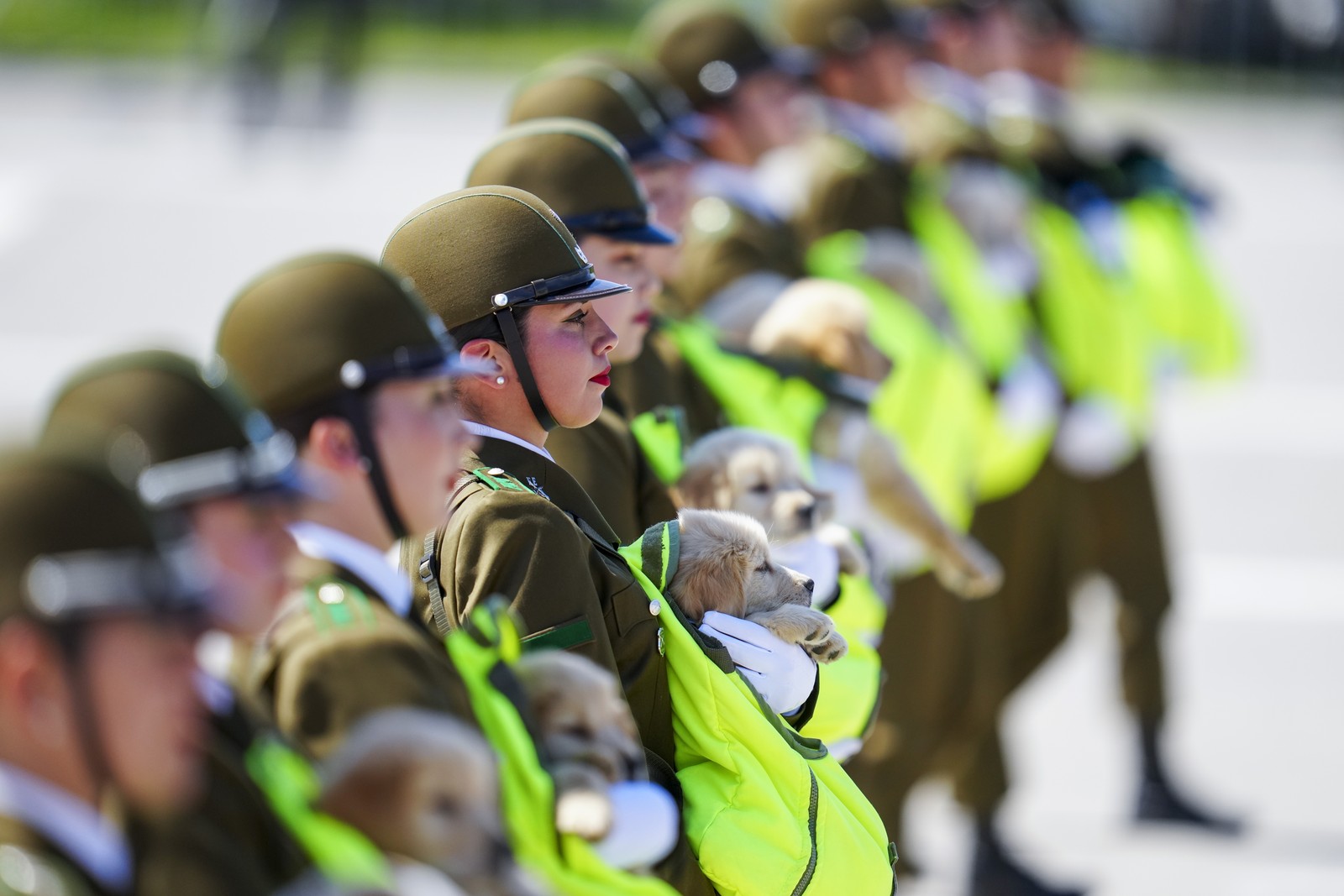 Police officers in a parade carry puppies in harnesses across their chests.