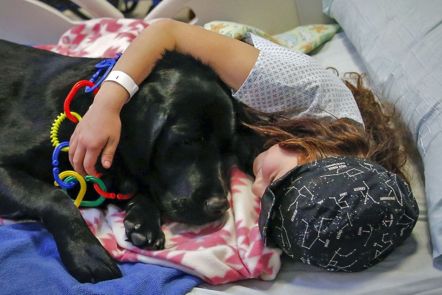 A child lies down, holding on to a dog, in a hospital bed.