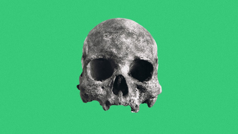 A skull from Lagoa Santa, Brazil