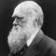 A black and white portrait of Charles Darwin in profile