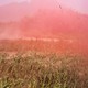 Pink smoke in a field
