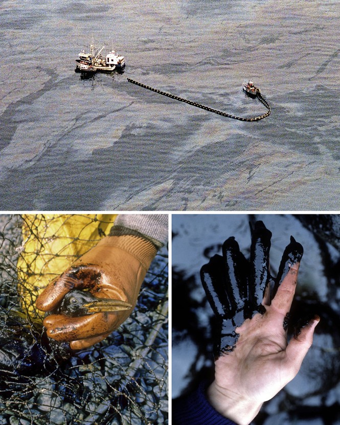 Pictures showing details of the Exxon Valdez oil spill.