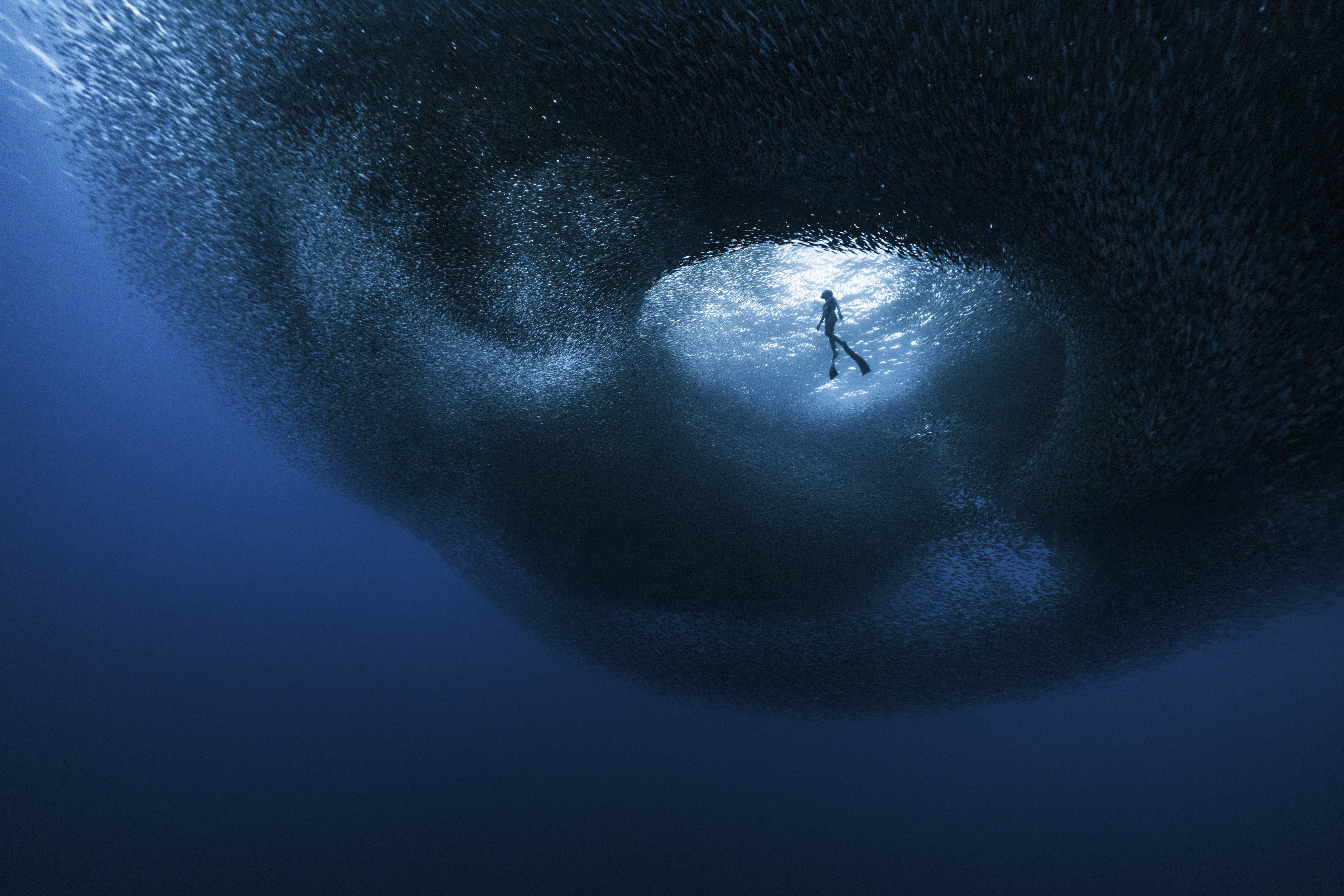 Ocean Photographer of the Year 2026 Finalists