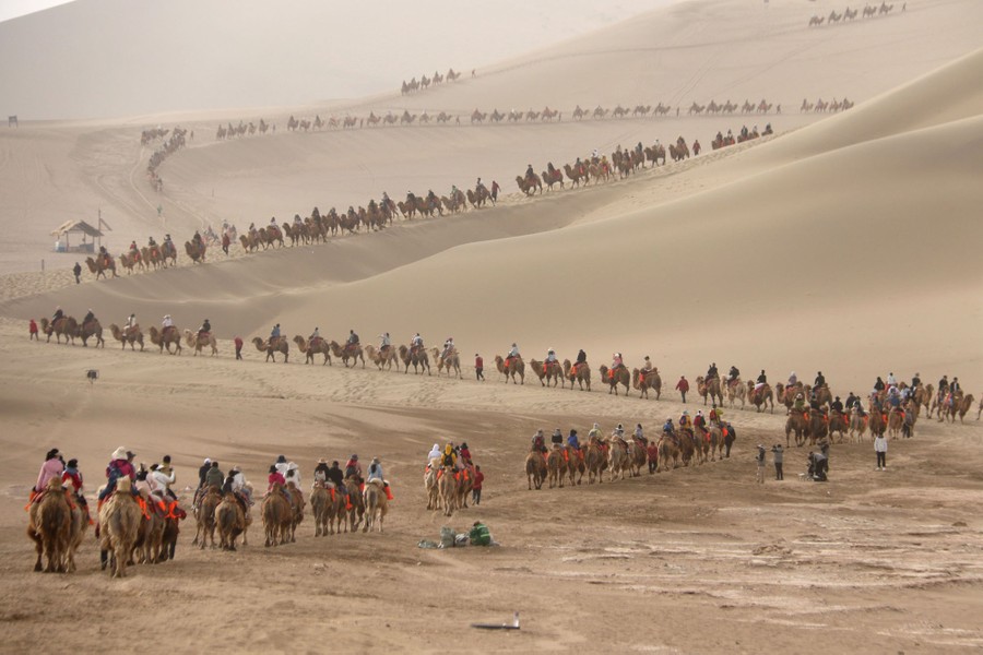 Many tourists ride lines of camels that zig-zag along trails into a desert.