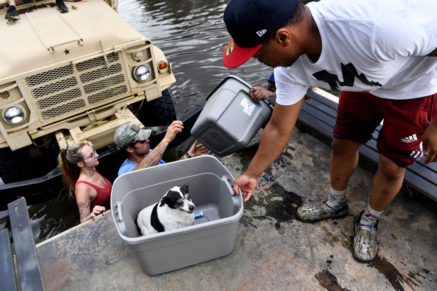 Several people lift boxes and a pet onto the back of a high water truck while standing in flood water.