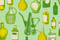 Illustration of various types of oil